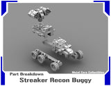 Streaker Recon Buggy